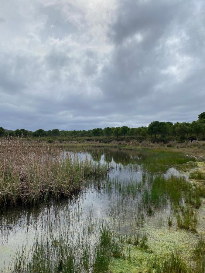 Herdade De Alagaes Мертола Экстерьер фото